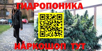 прущая мука Аргун